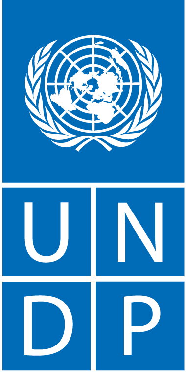 UNDP logo
